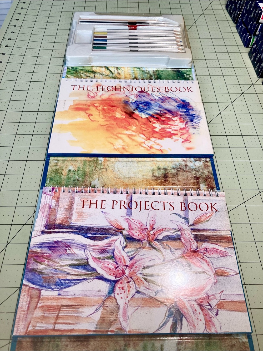 Watercolor Pencil Book with Projects Workbook and Colored Pencils, Reader’s Dige